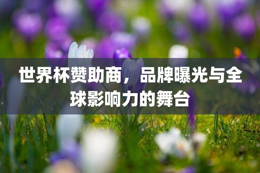 世界杯赞助商，品牌曝光与全球影响力的舞台