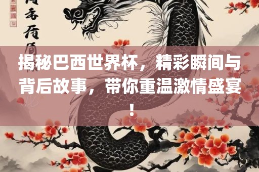 揭秘巴西世界杯，精彩瞬间与背后故事，带你重温激情盛宴！眉山市正发家政服务有限公司