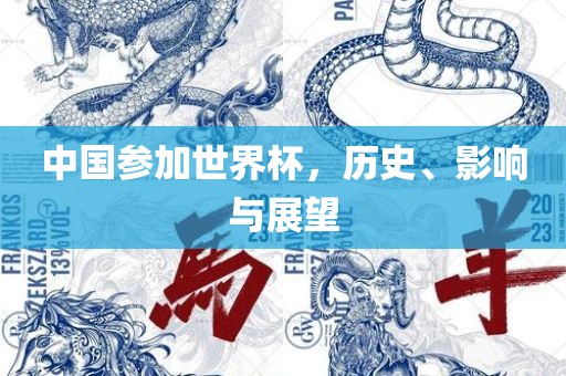 中国参加世界杯，历史、影响与展望眉山市正发家政服务有限公司