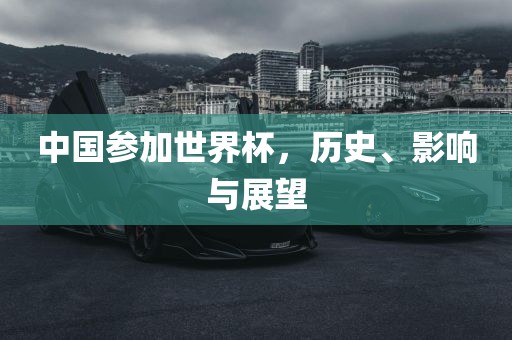中国参加世界杯，历史、影响与展望眉山市正发家政服务有限公司