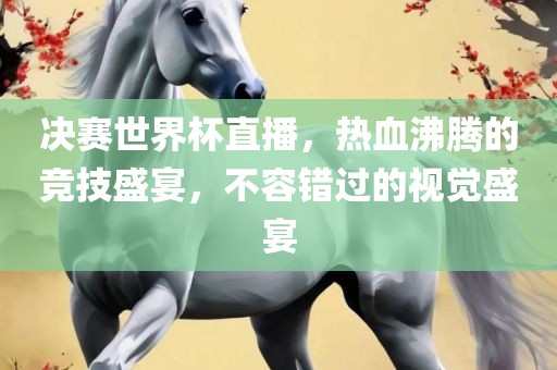 决赛世界杯直播，热血沸腾的竞技盛宴，不容错过的视觉盛宴