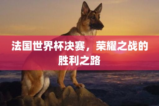 liyalv 第11页