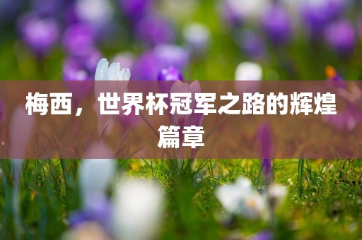 梅西，世界杯冠军之路的辉煌篇章眉山市正发家政服务有限公司