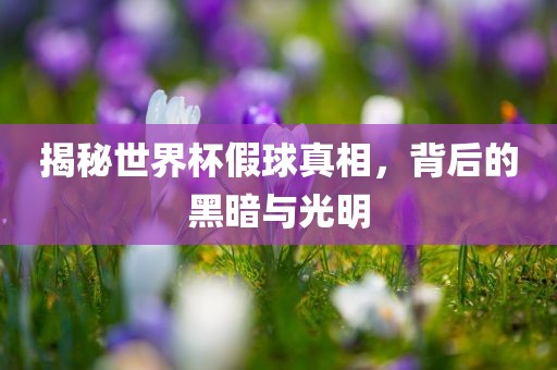 揭秘世界杯假球真相，背后的黑暗与光明