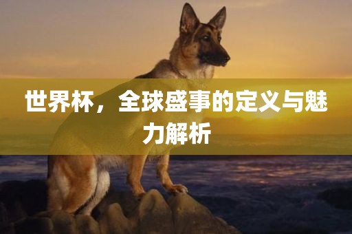 世界杯，全球盛事的定义与眉山市正发家政服务有限公司魅力解析