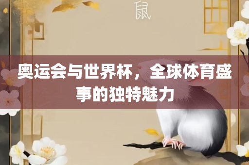 奥运会与世界杯，全球体育盛事的独特魅力