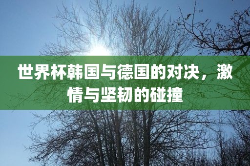世界杯韩国与德国的眉山市正发家政服务有限公司对决，激情与坚韧的碰撞