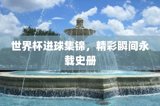 世界杯进球集锦，精彩瞬间永载史册眉山市正发家政服务有限公司