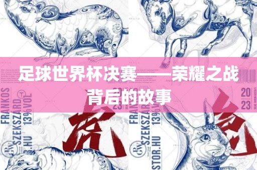 足球世界杯决赛——荣耀之战背后的故事