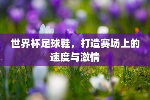 世界杯足球鞋，打造赛场上的速度与激情