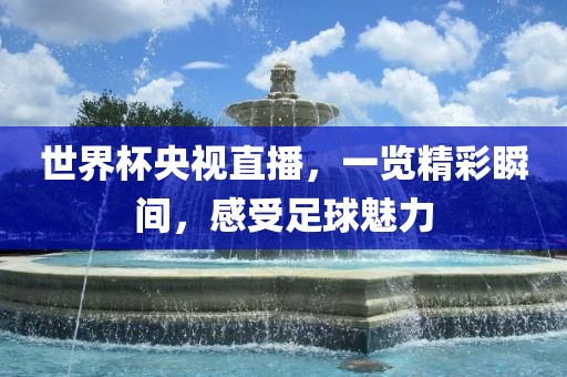 xinyu 第13页