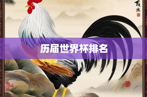 历届世界杯排名