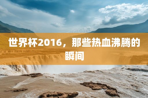 世界杯2016，那些热血沸腾的瞬间