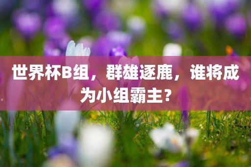 世界杯B组，群雄逐鹿，谁将成为小组霸主？