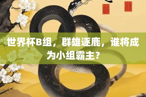 世界杯B组，群雄逐鹿，谁将成为小组霸主？
