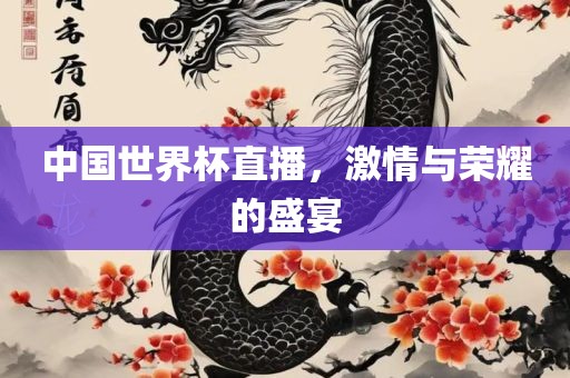 中国世界杯直播，激情与荣耀的盛宴眉山市正发家政服务有限公司
