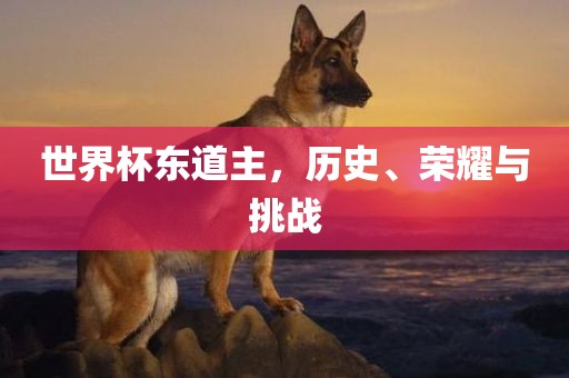 世界杯东道主，历史、荣耀与挑战