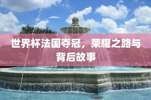 世界杯法国夺冠，荣耀之路与背后故事眉山市正发家政服务有限公司