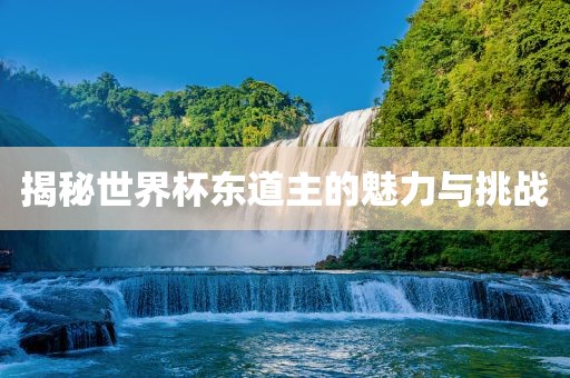 揭秘世界杯东道主的魅力与挑战