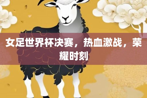 女足世界杯决赛