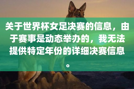 关于世界杯女足决赛的信息，由于赛事是动态举办的，我无法提供特定年份的详细决赛信息。