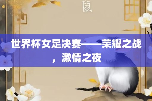 世界杯女足决赛——荣耀之战，激情之夜