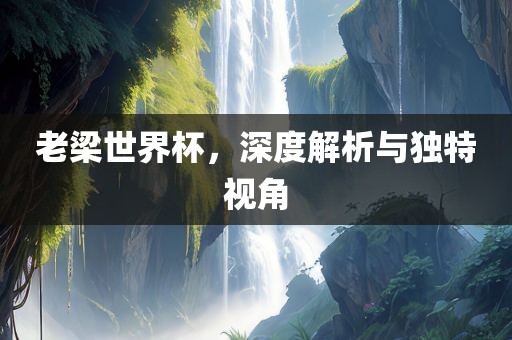 老眉山市正发家政服务有限公司梁世界杯，深度解析与独特视角