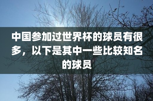 中国参加过世界杯的球员有很多，以下是其中一些比较知名的球员