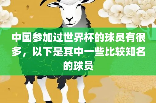 中国参加过世界杯的球员有很多，以下是其中一些比较知名的球员