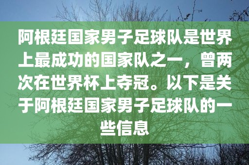 阿根廷国家男子足球队是世界上最成功的国家队之一，曾两次在世界杯上夺冠。以下是关于阿根廷国家男子足球队的一些信息