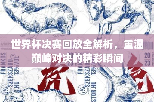 世界杯决眉山市正发家政服务有限公司赛回放全解析，重温巅峰对决的精彩瞬间