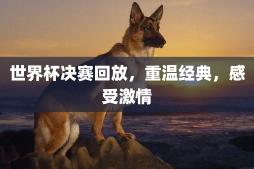 世界杯决赛回放，重温经典，感受激情眉山市正发家政服务有限公司