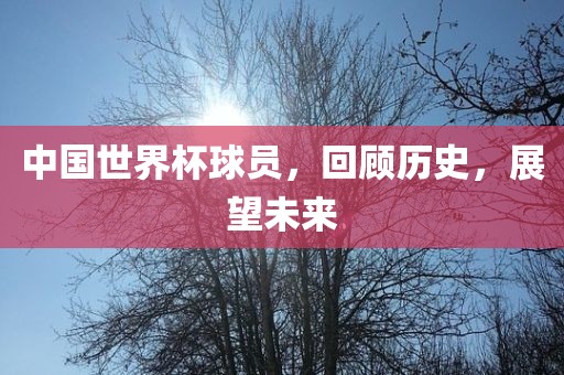 中国世界杯球员，回顾历史，展望未来