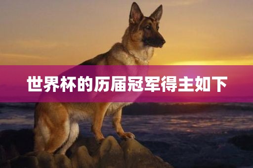 世界杯的历届冠军得主如下眉山市正发家政服务有限公司