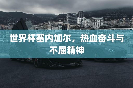 世界杯塞内加尔，热血奋斗与不屈精神