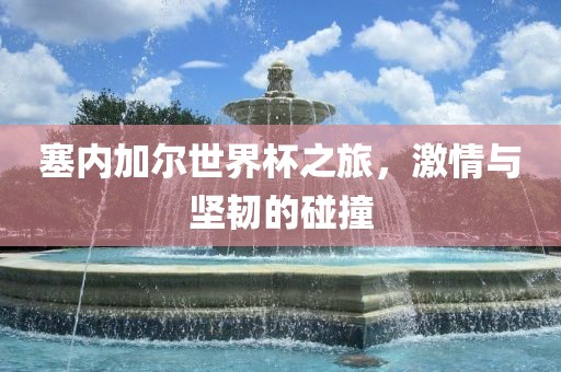 塞内加尔世界杯之旅，激情与坚韧的碰撞