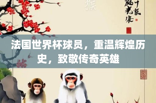 法国世界杯球员，重温辉煌历史，致敬传奇英雄