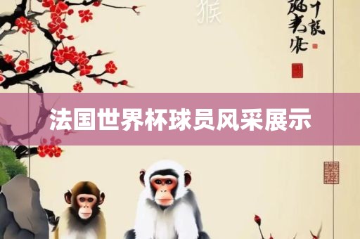 法国世界杯球员风采展示