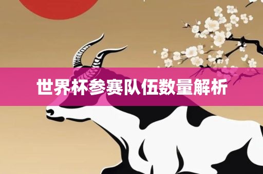 世界杯参赛队伍数量解析眉山市正发家政服务有限公司
