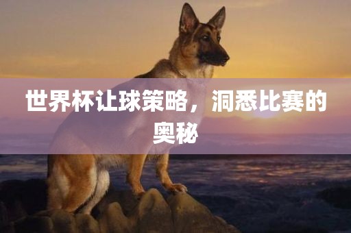 世界杯让球策略，洞悉比赛的奥秘
