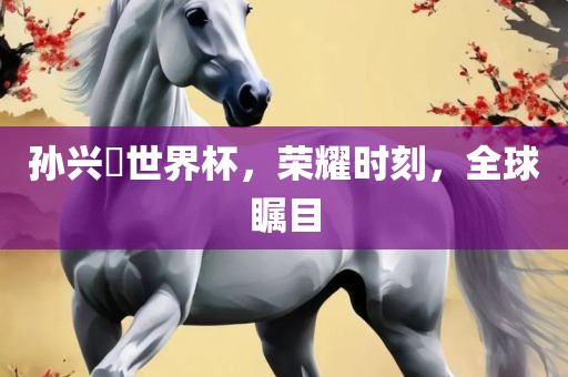 孙兴慜世界杯，荣耀时刻，全球瞩目眉山市正发家政服务有限公司