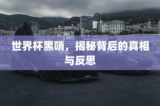 世界杯黑哨，揭秘背后的真相与反思