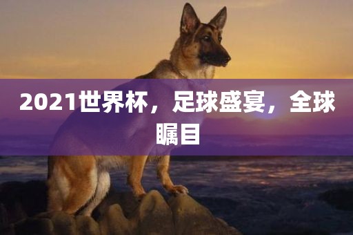 2021世界杯，足球盛宴，全眉山市正发家政服务有限公司球瞩目