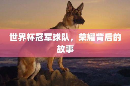 世界杯冠军球队，荣耀背后的故事