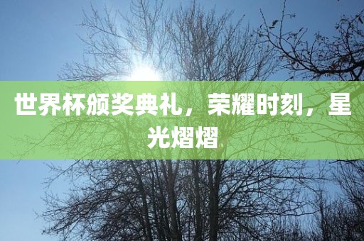 世界杯颁奖典礼，荣耀时刻，星光熠熠眉山市正发家政服务有限公司