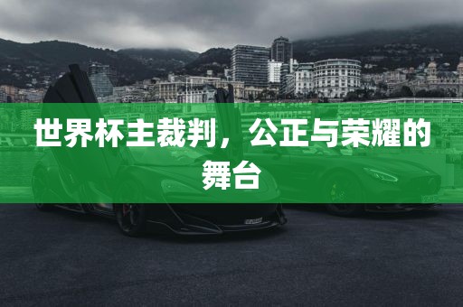 世界杯主裁判，公正与荣耀的舞台