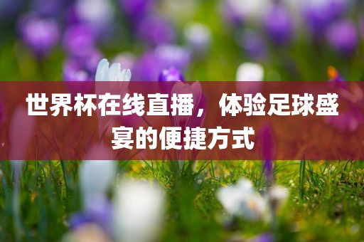 世界杯在线直播，体验足球盛宴的眉山市正发家政服务有限公司便捷方式