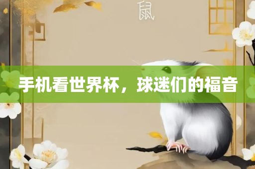 手机看世界杯，球迷们的福音
