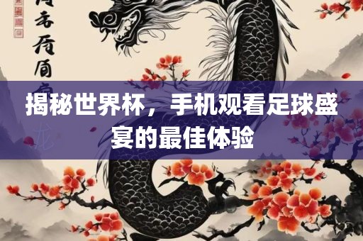 揭秘世界杯，手机观看足球盛宴的最佳体验眉山市正发家政服务有限公司