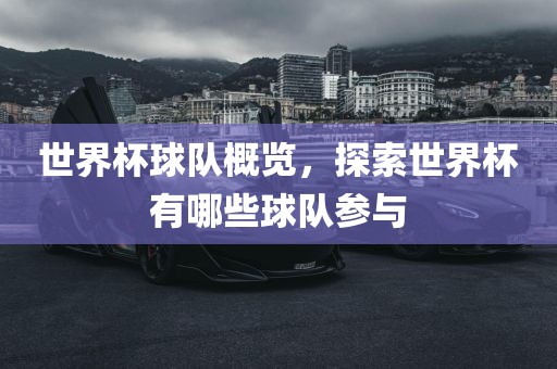 世界杯球队概览，探索世界杯有哪些球队参与